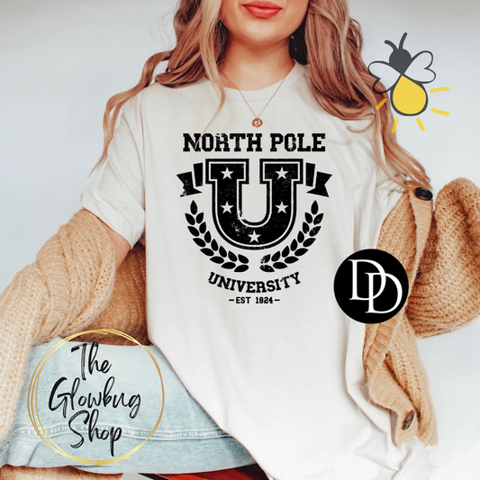 North Pole University