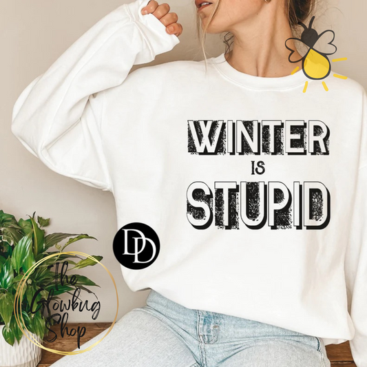Winter Is Stupid