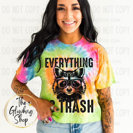 Everything Is Trash (adult)