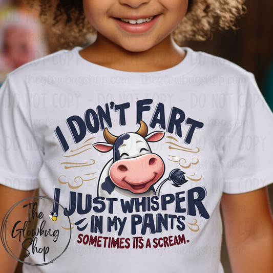 I Don’t Fart (youth)