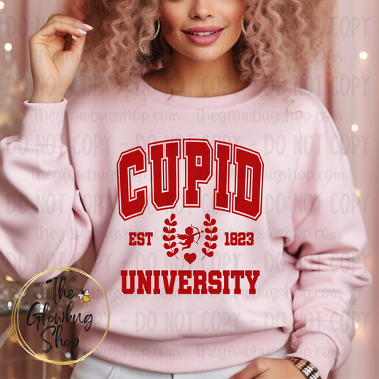 Cupid University