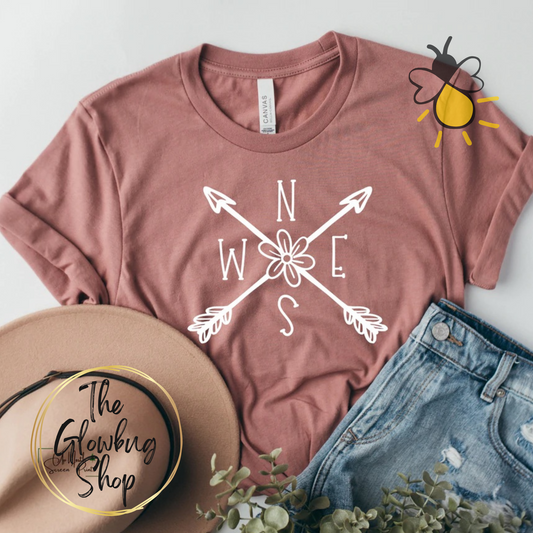 NSWE